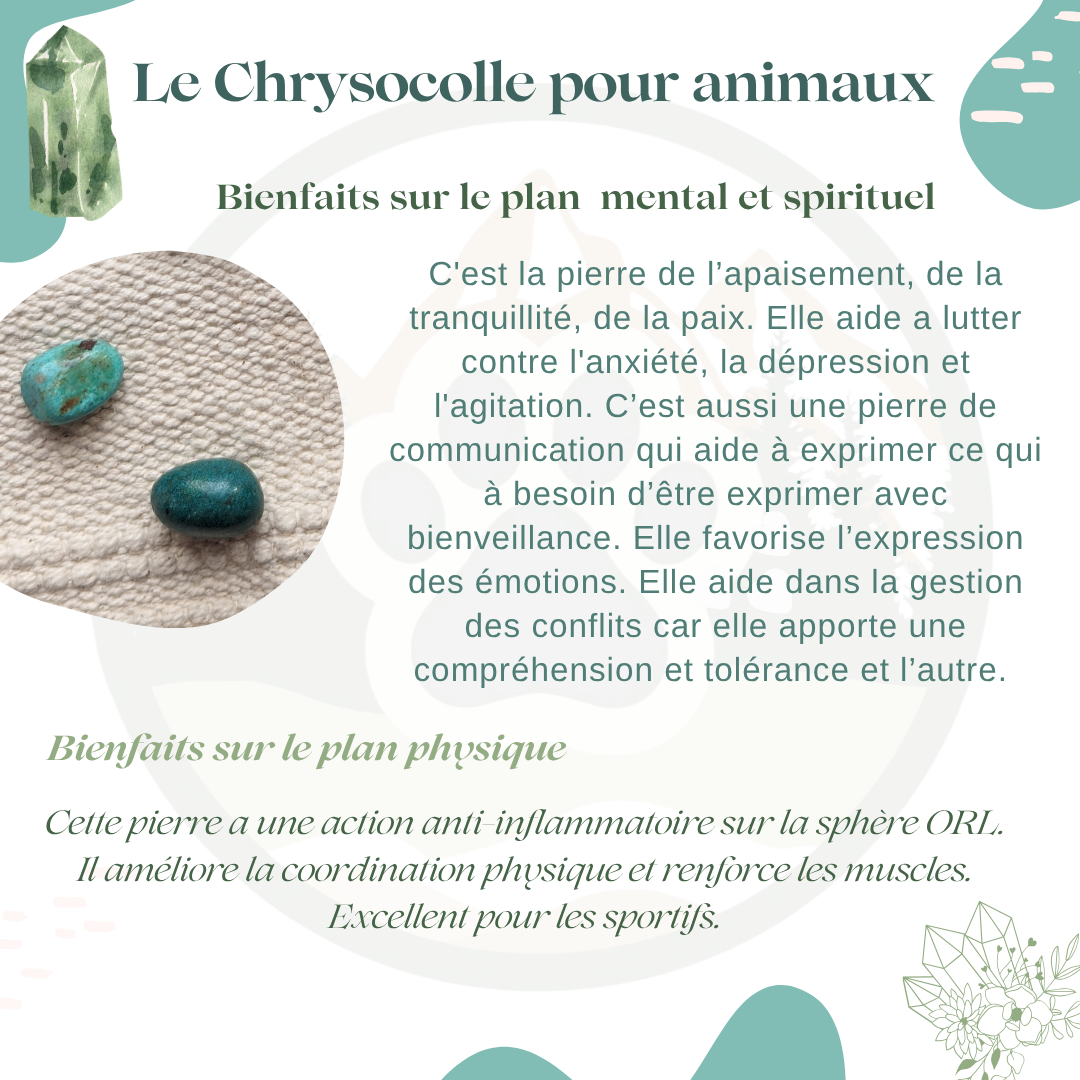 Pendentif en Chrysocolle — Harmonie & apaisement