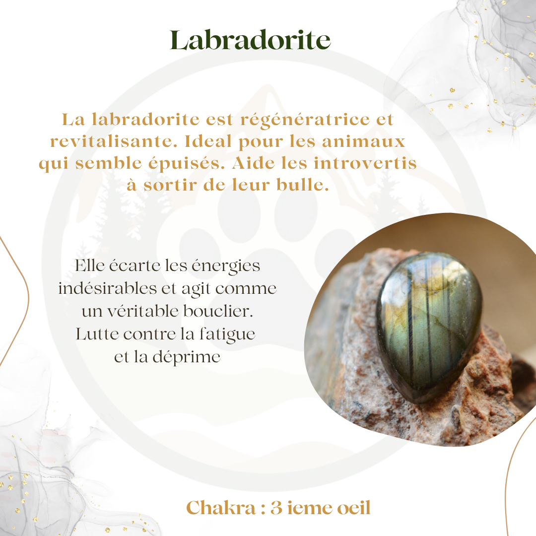 Pendentif en Labradorite — Protection & regain d’énergie