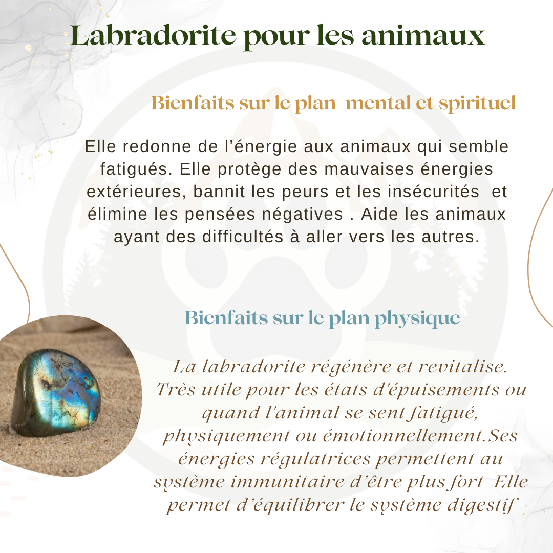 Pendentif en Labradorite — Protection & regain d’énergie