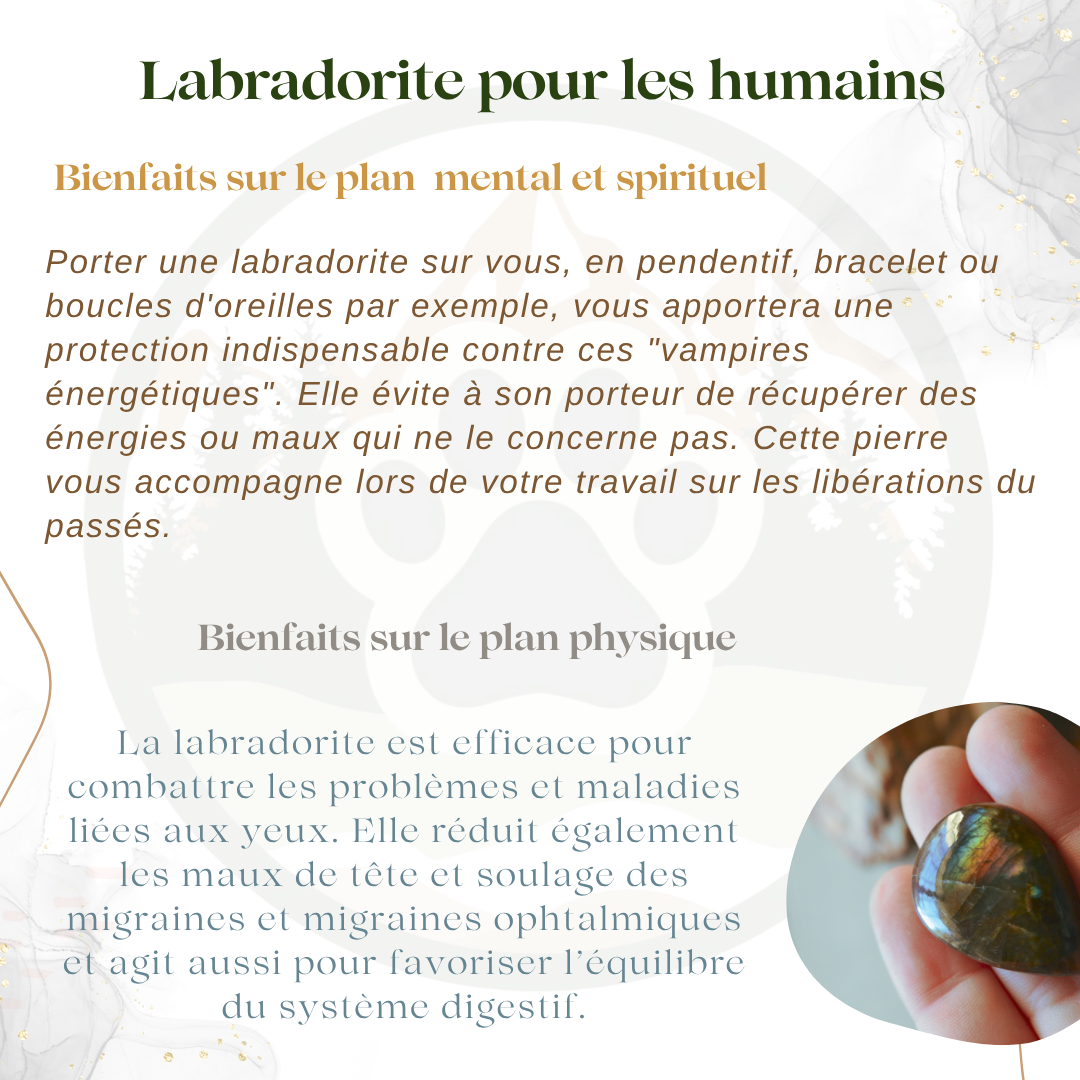 Pendentif en Labradorite — Protection & regain d’énergie