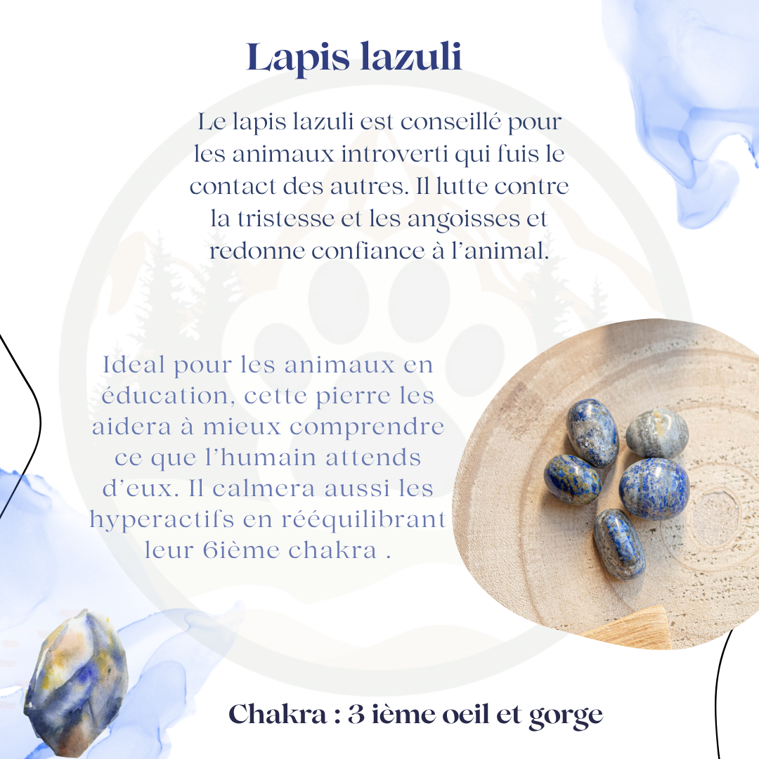 Pierre Lapis Lazuli — Confiance & compréhension