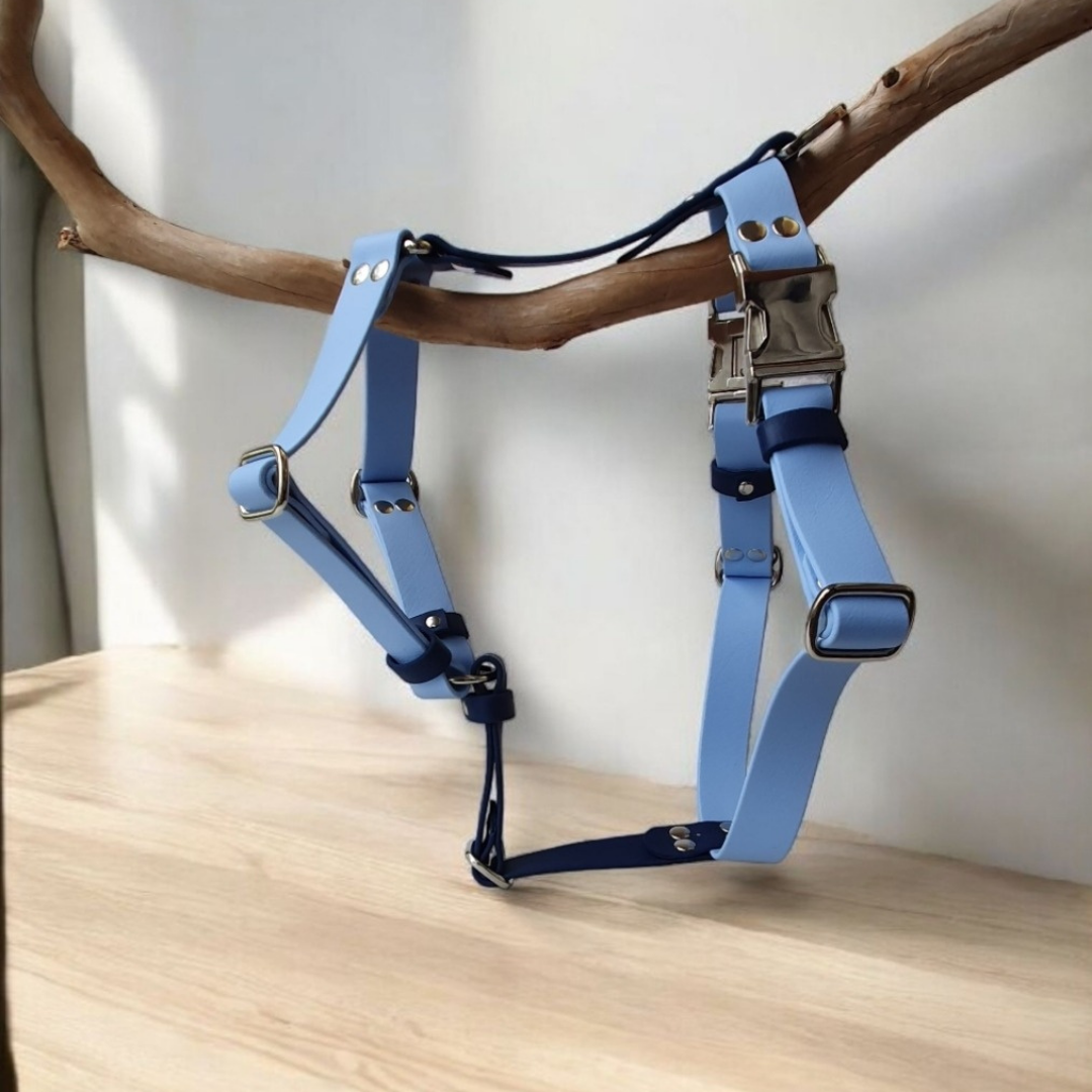 🦛 Harnais biothane HYPPO BOUE - sangle 38 mm de largeur