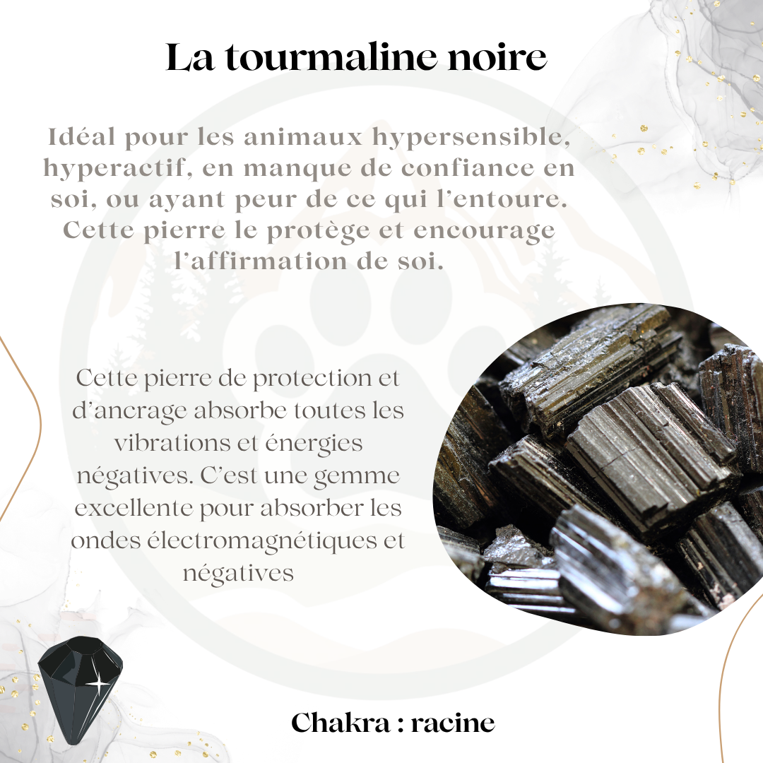 Pierre Tourmaline Noire — Protection & ancrage