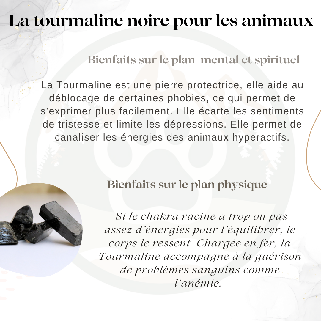 Pierre Tourmaline Noire — Protection & ancrage