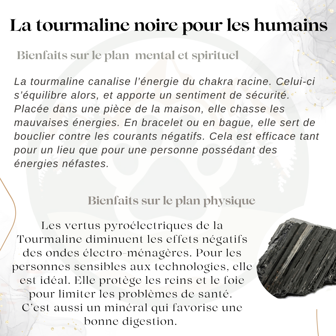 Pierre Tourmaline Noire — Protection & ancrage