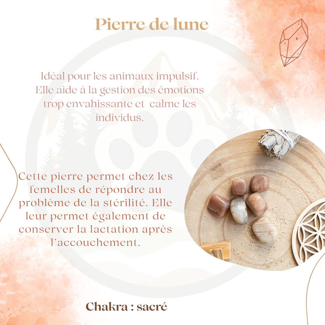 Pierre de Lune — Émotions & équilibre
