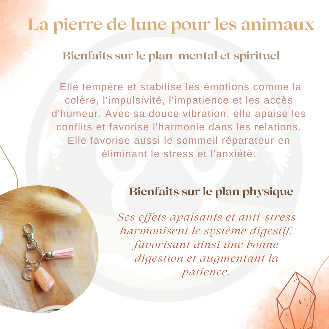 Pierre de Lune — Émotions & équilibre