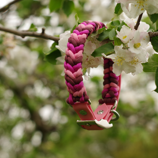 🌅 Collier LUMEN  - paracorde