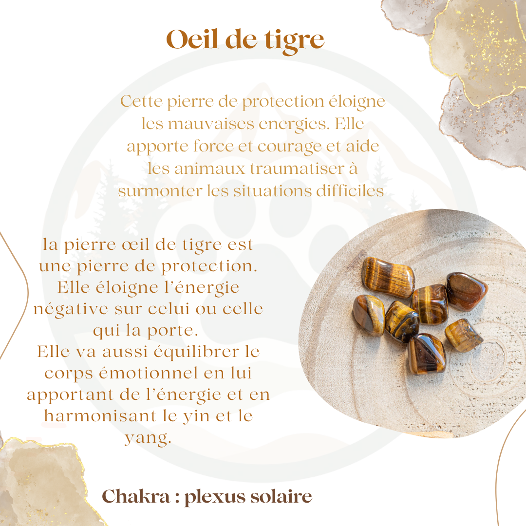 Pierre Oeil de Tigre — Courage & protection