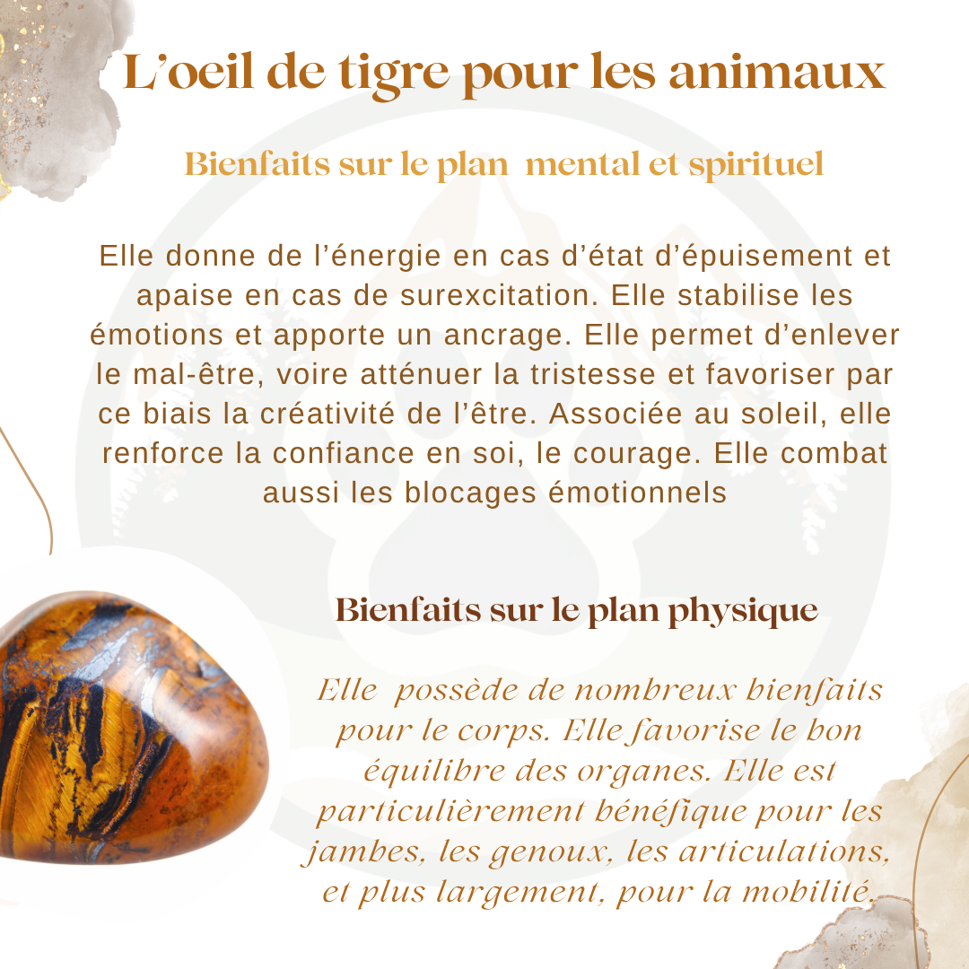 Pierre Oeil de Tigre — Courage & protection