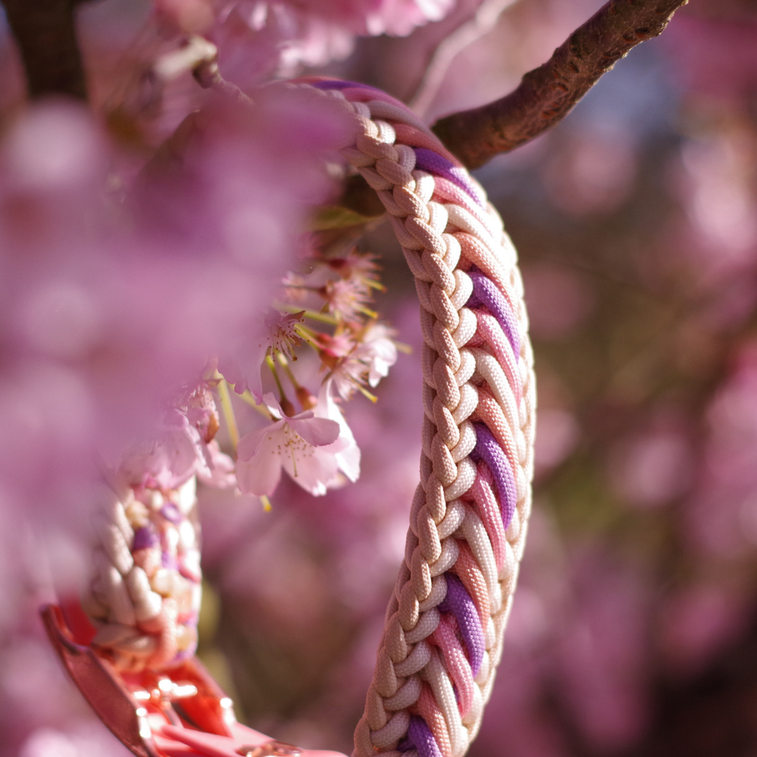 🌾 Collier KOARA  - paracorde