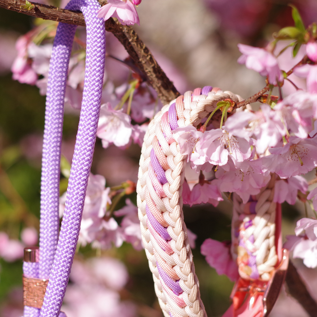 🌾 Collier KOARA  - paracorde