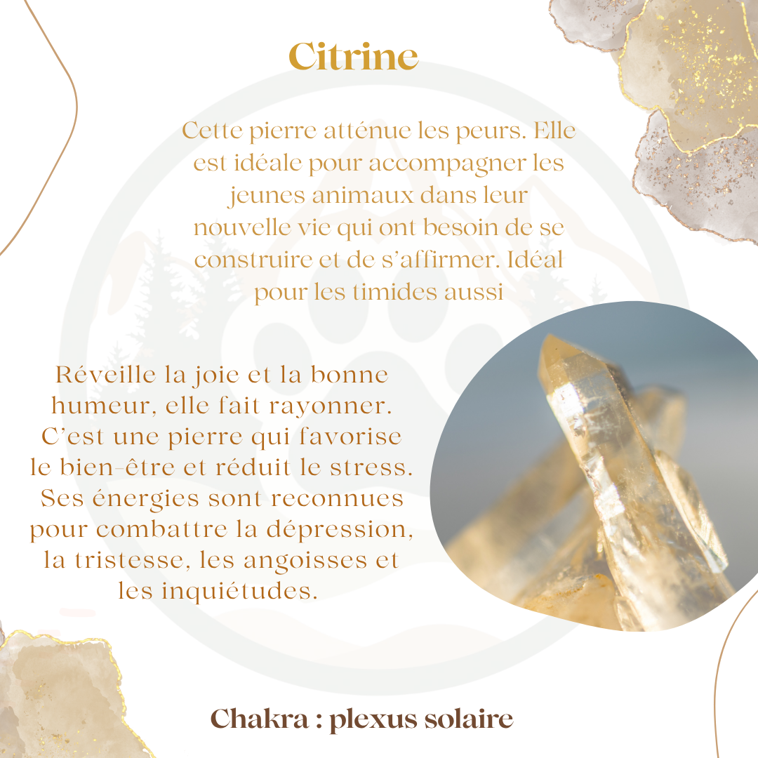 Pendentif en Citrine — Joie & affirmation de soi