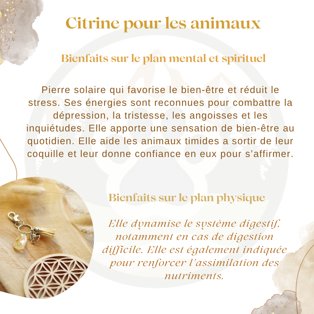 Pendentif en Citrine — Joie & affirmation de soi