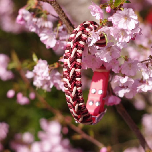 🌄 Collier OLYMPE  - paracorde