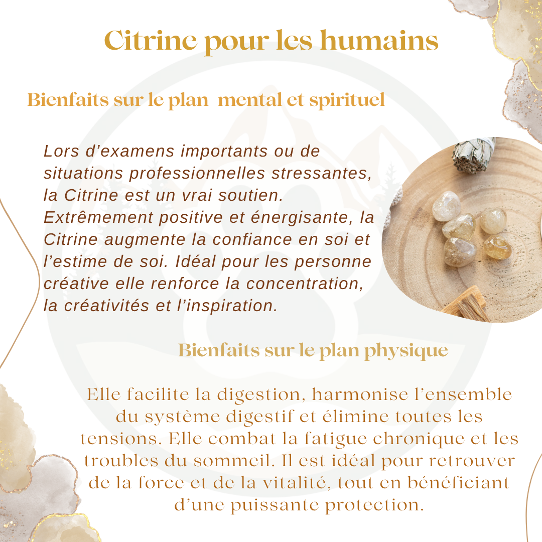 Pendentif en Citrine — Joie & affirmation de soi