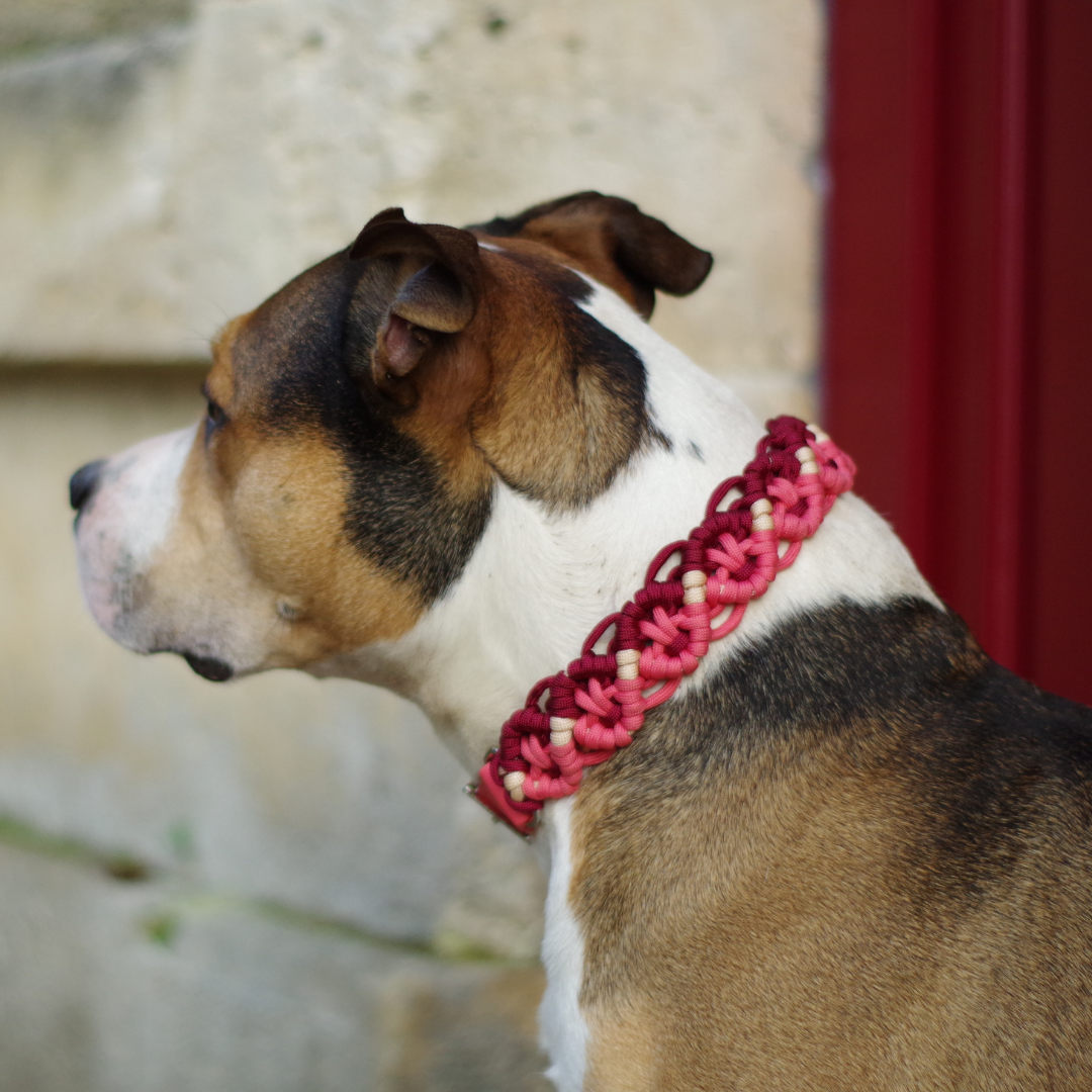 🧚‍♀️ Collier NYMERIA  - paracorde