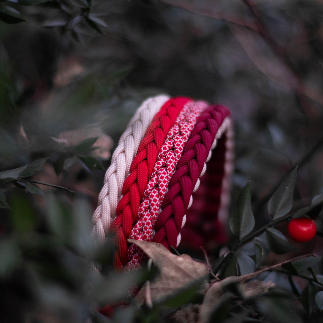 🪸 Collier CORAIL - paracorde