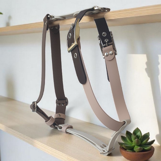 🐊 Harnais biothane CROC BOUE - sangle de 25 mm de largeur