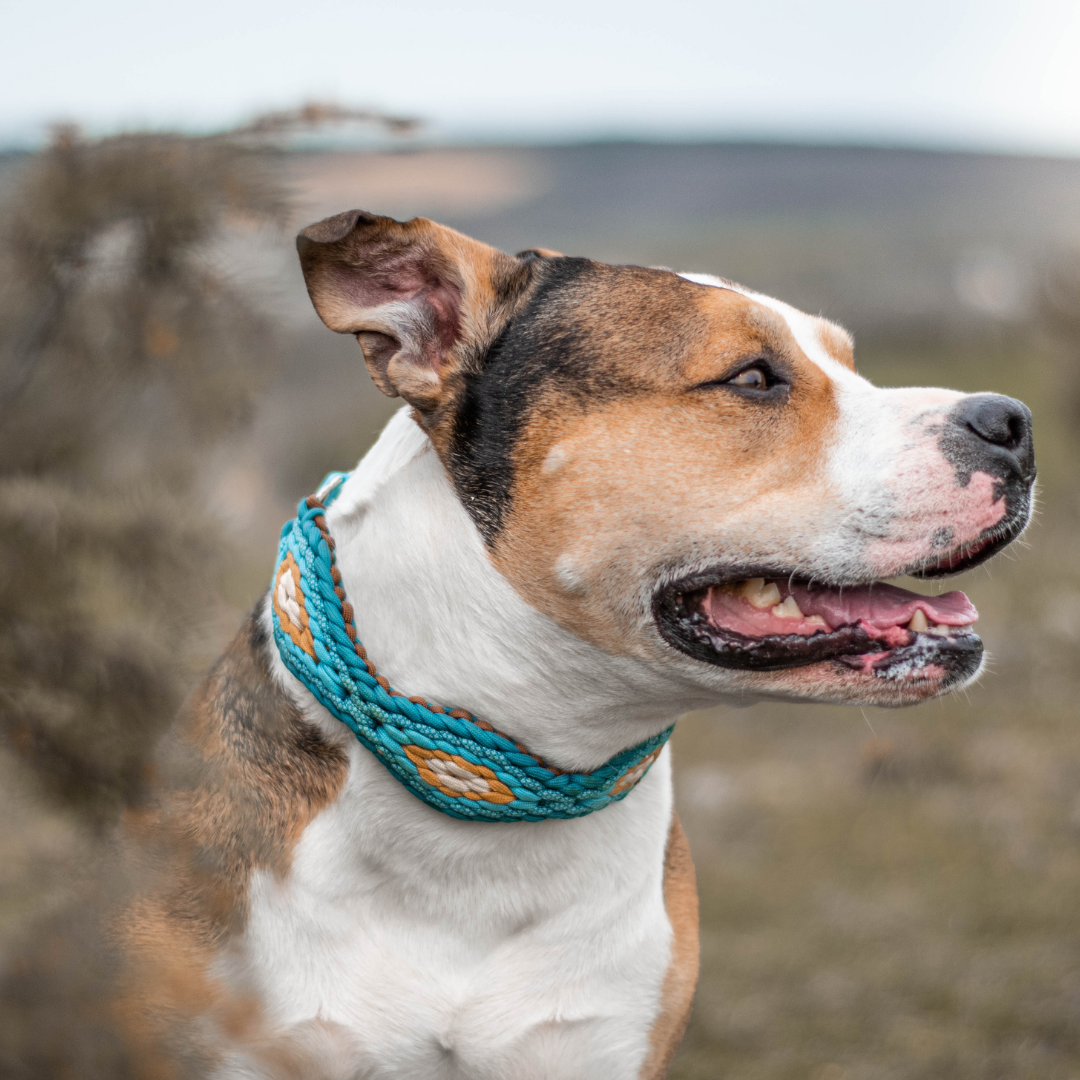 🌿 Collier ERYNDOR - paracorde