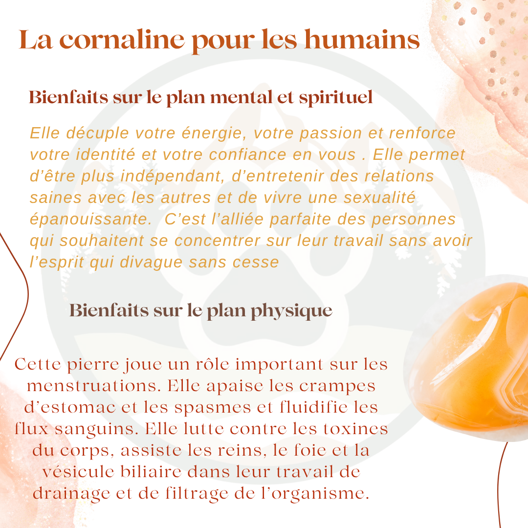 Pendentif en Cornaline — Vitalité & motivation