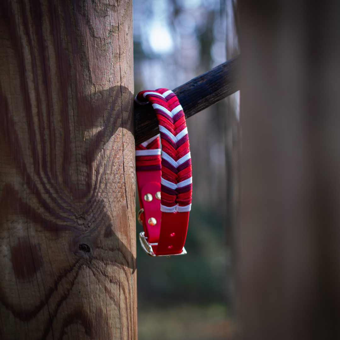 🗻 Collier TREK- Biothane paracorde