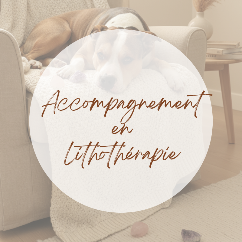 Accompagnement dans le choix de votre pierre