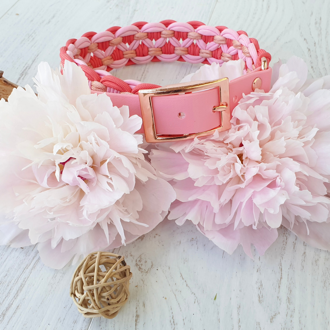 🌊 Collier Nausicaa - paracorde