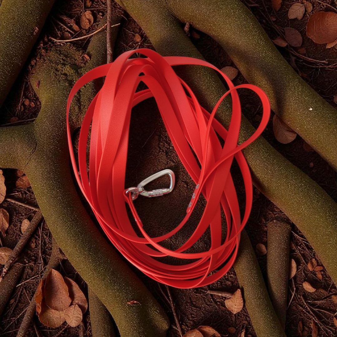 Longe PVC Explor' 16 mm