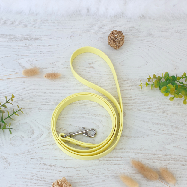 Laisse simple en biothane