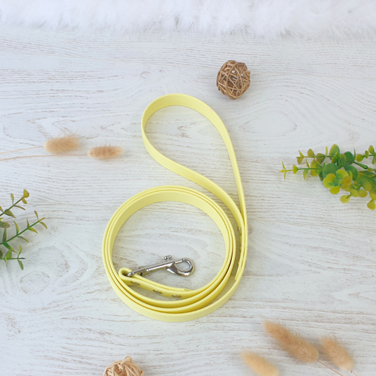 Laisse simple en biothane