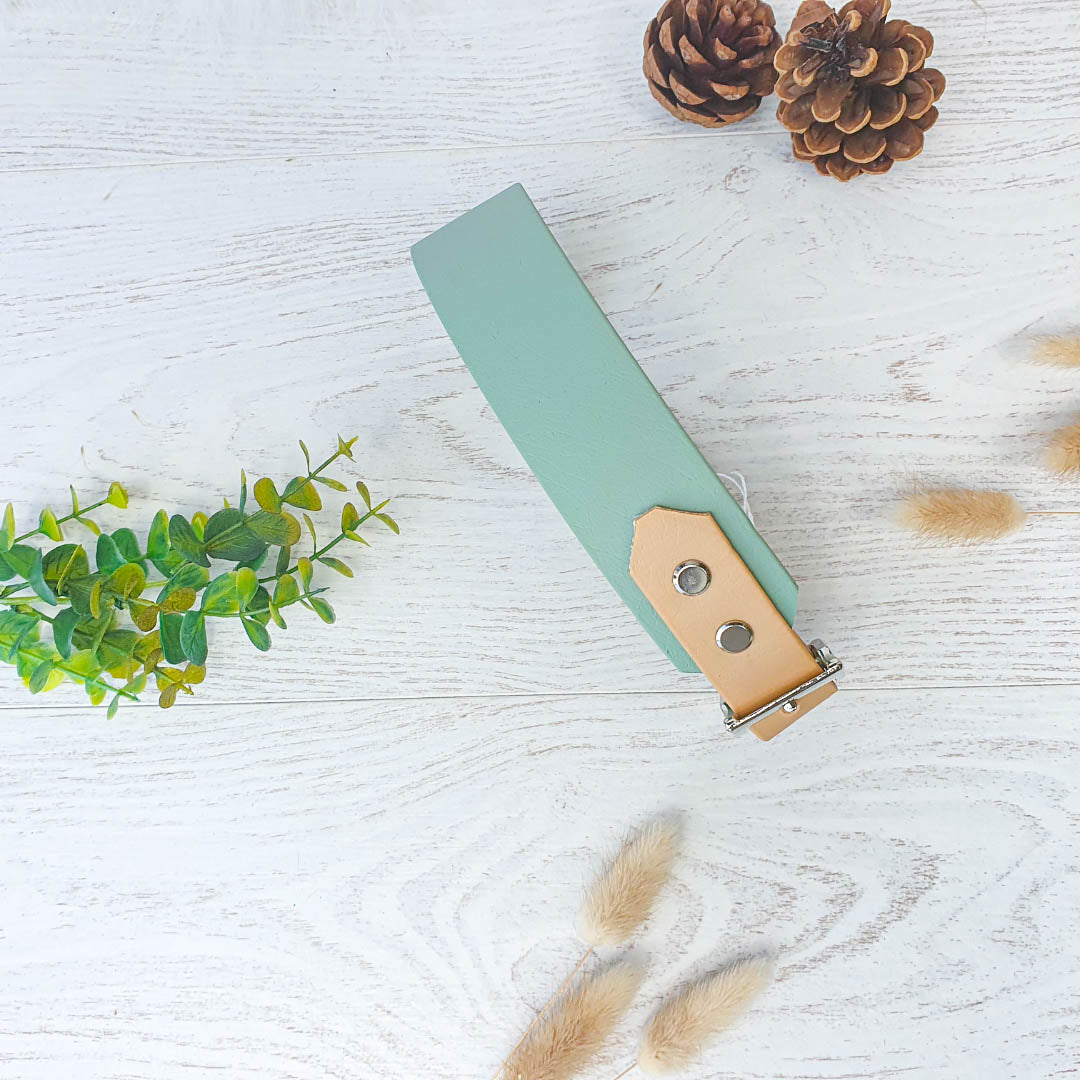 🏞️ Collier YUKON biothane