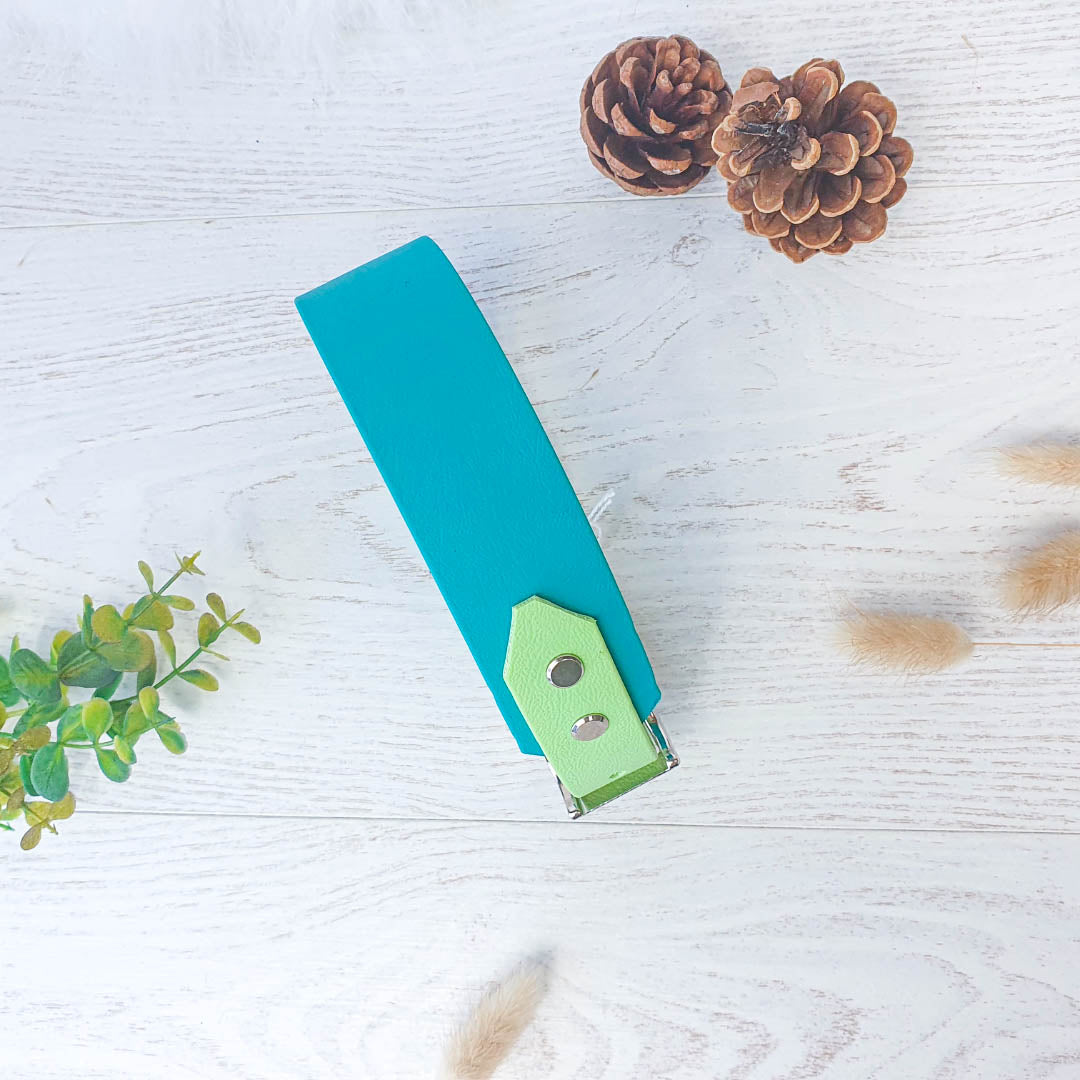 🏞️ Collier YUKON biothane