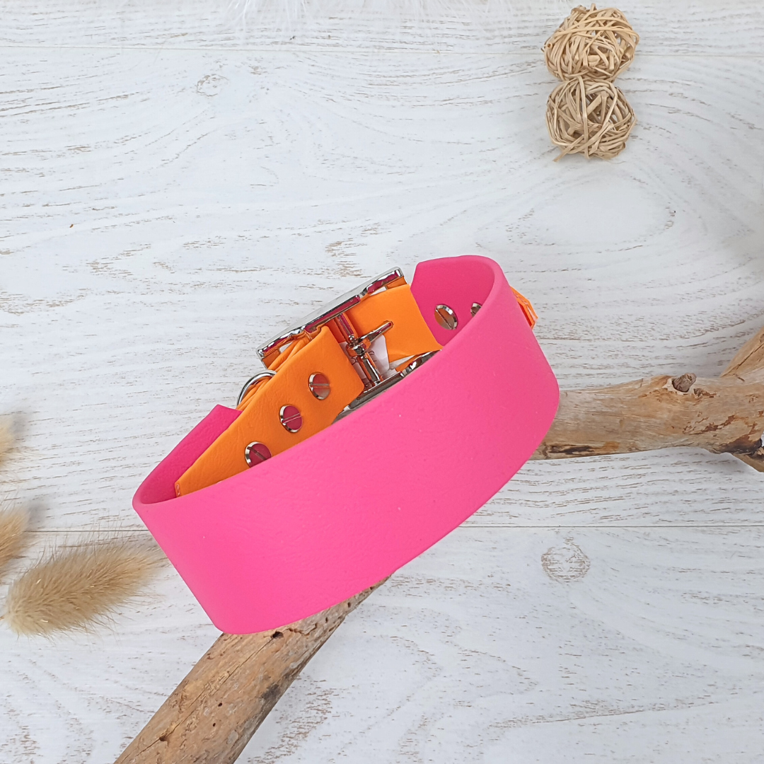 🏞️ Collier YUKON biothane