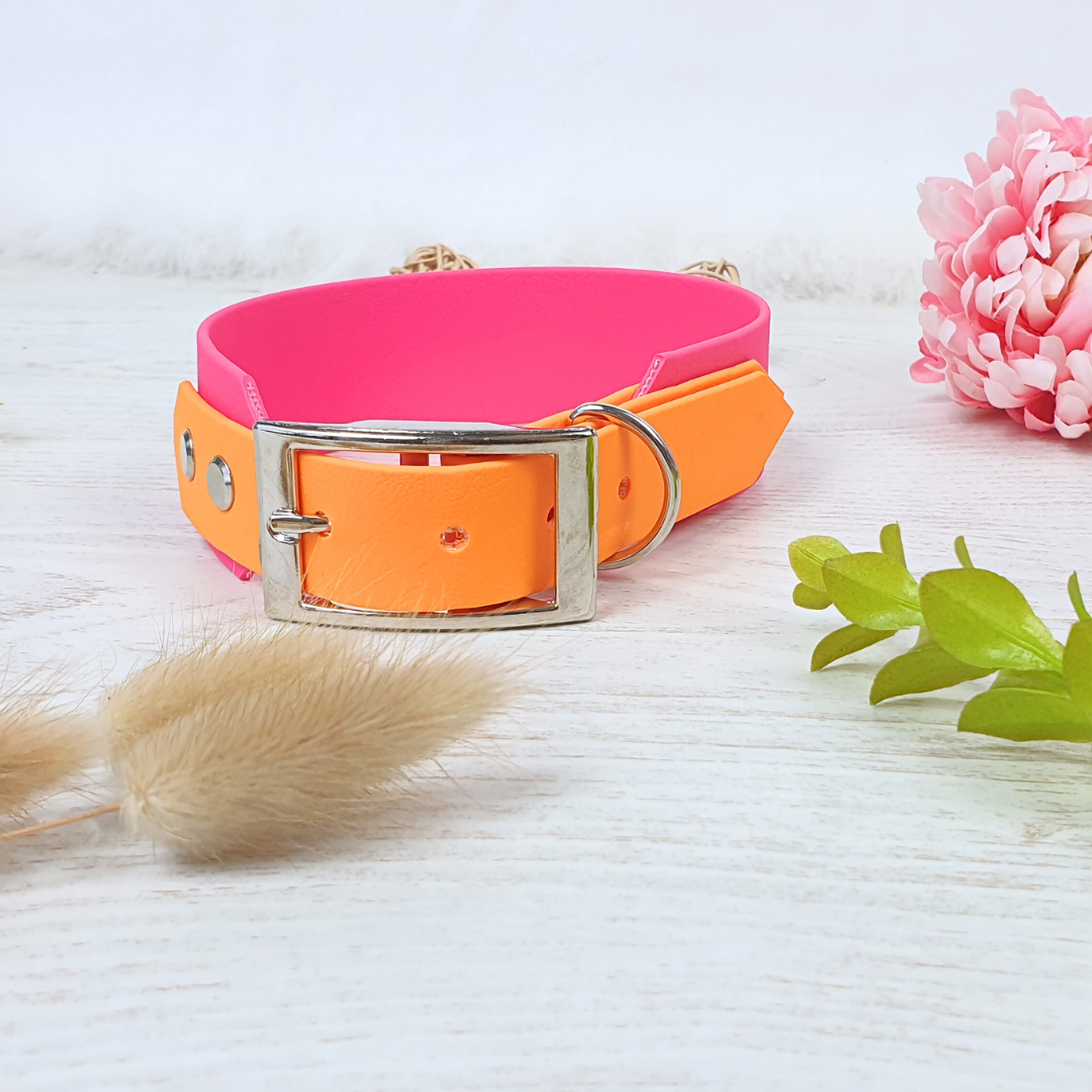 Collier Yukon biothane - Largeur 38 mm