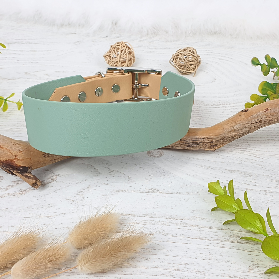 Collier Yukon biothane - Largeur 38 mm