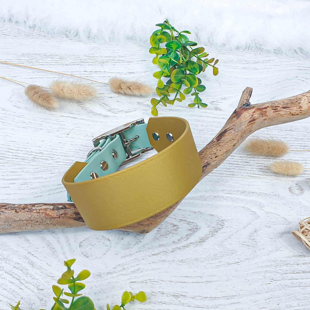 🏞️ Collier YUKON biothane