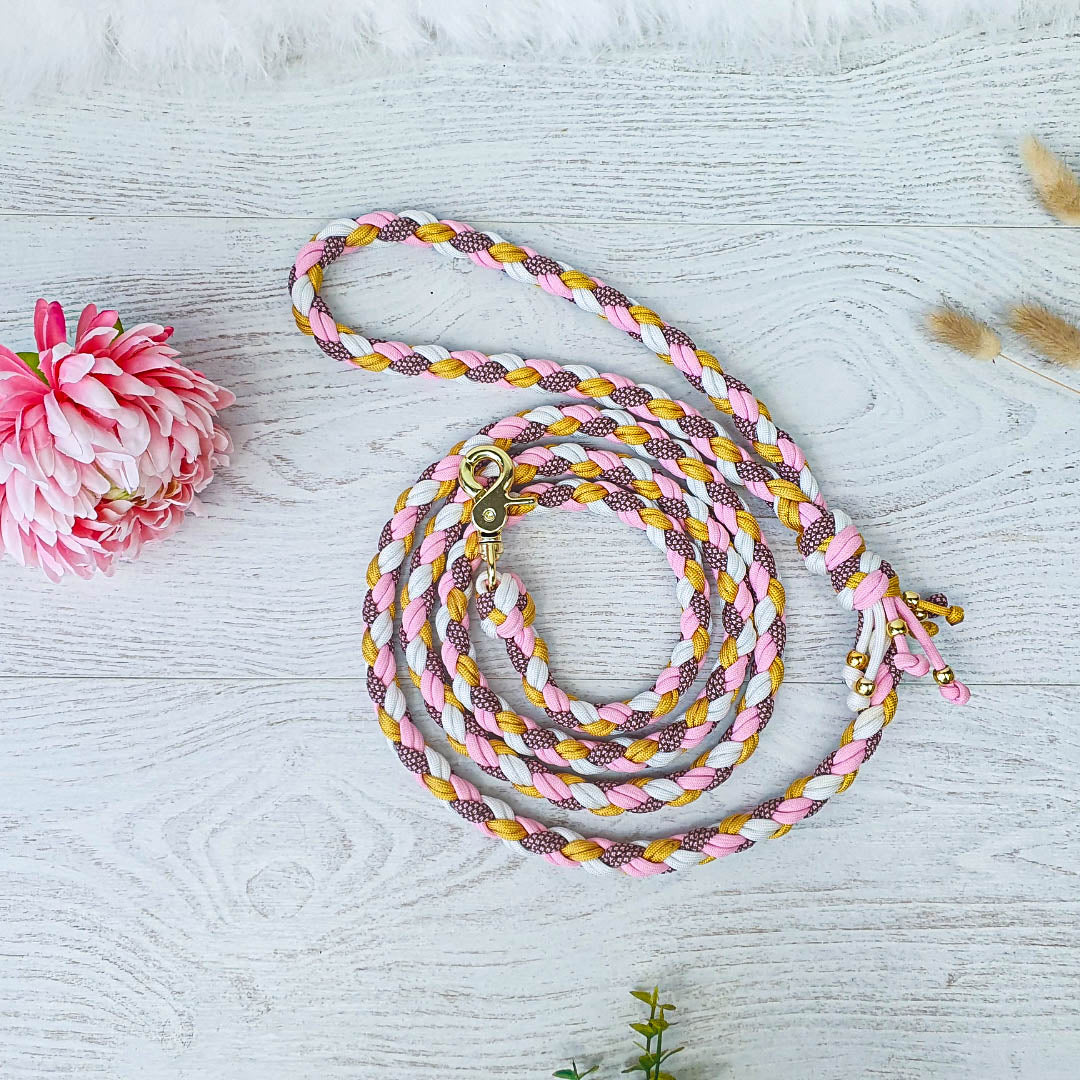 Laisse HARMONIE - paracorde tressée