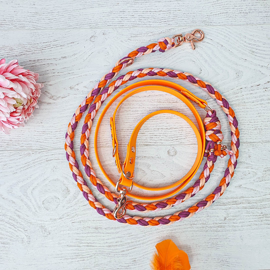 Laisse multiposition AORA - biothane - paracorde