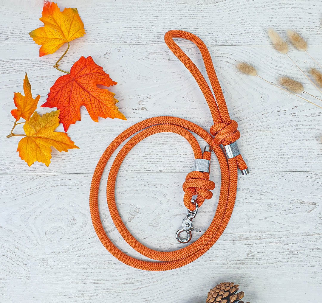 Laisse SHERPA - finition métal