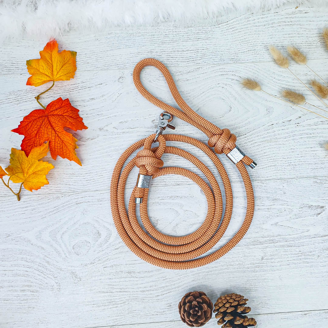 Laisse SHERPA - finition métal