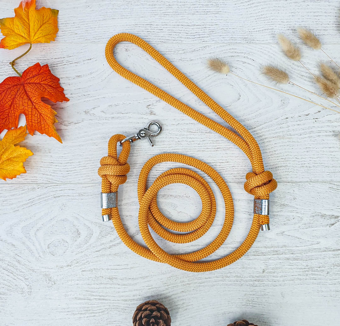 Laisse SHERPA - finition métal