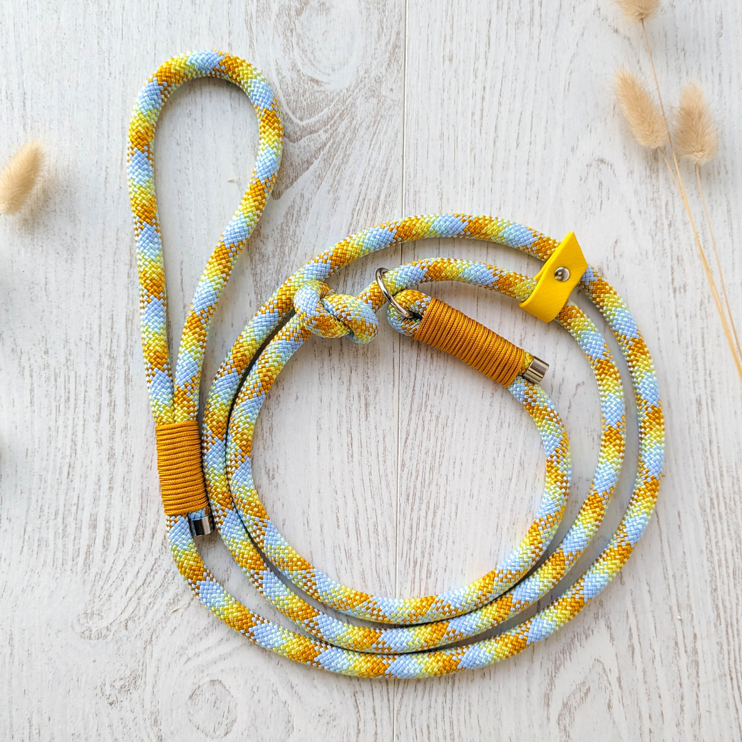 🪢 Laisse NOMADE en corde - système retriever