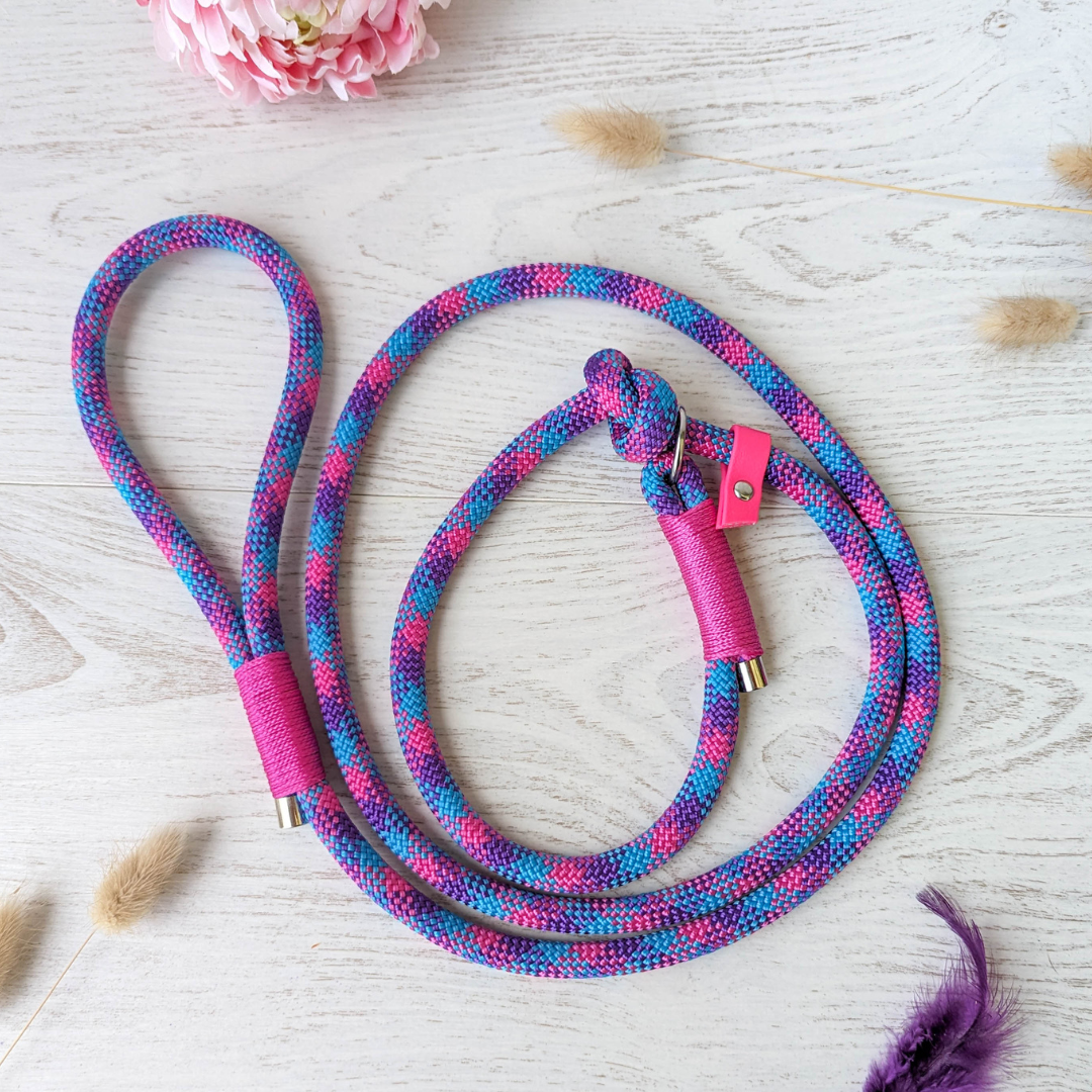 🪢 Laisse NOMADE en corde - système retriever