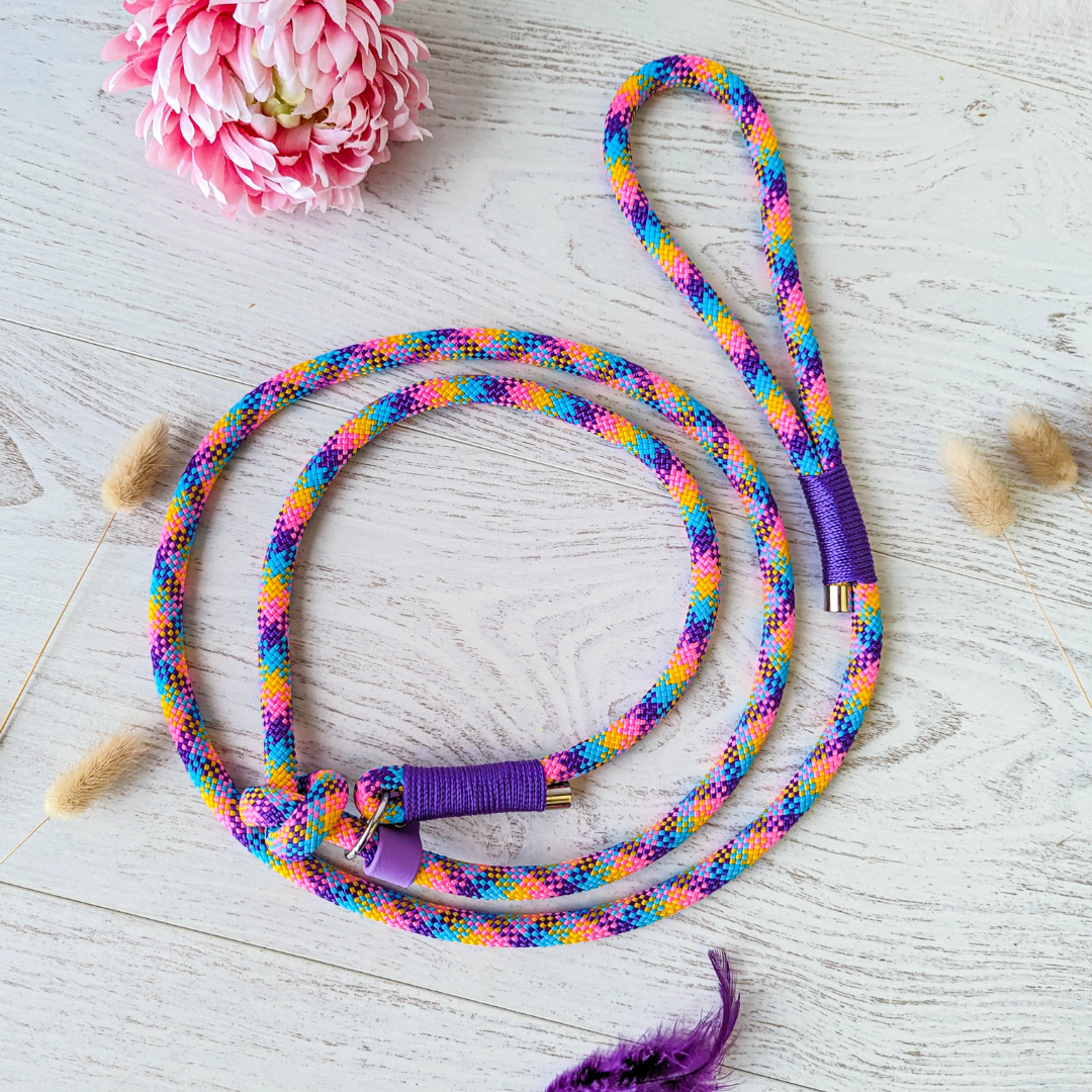 🪢 Laisse NOMADE en corde - système retriever