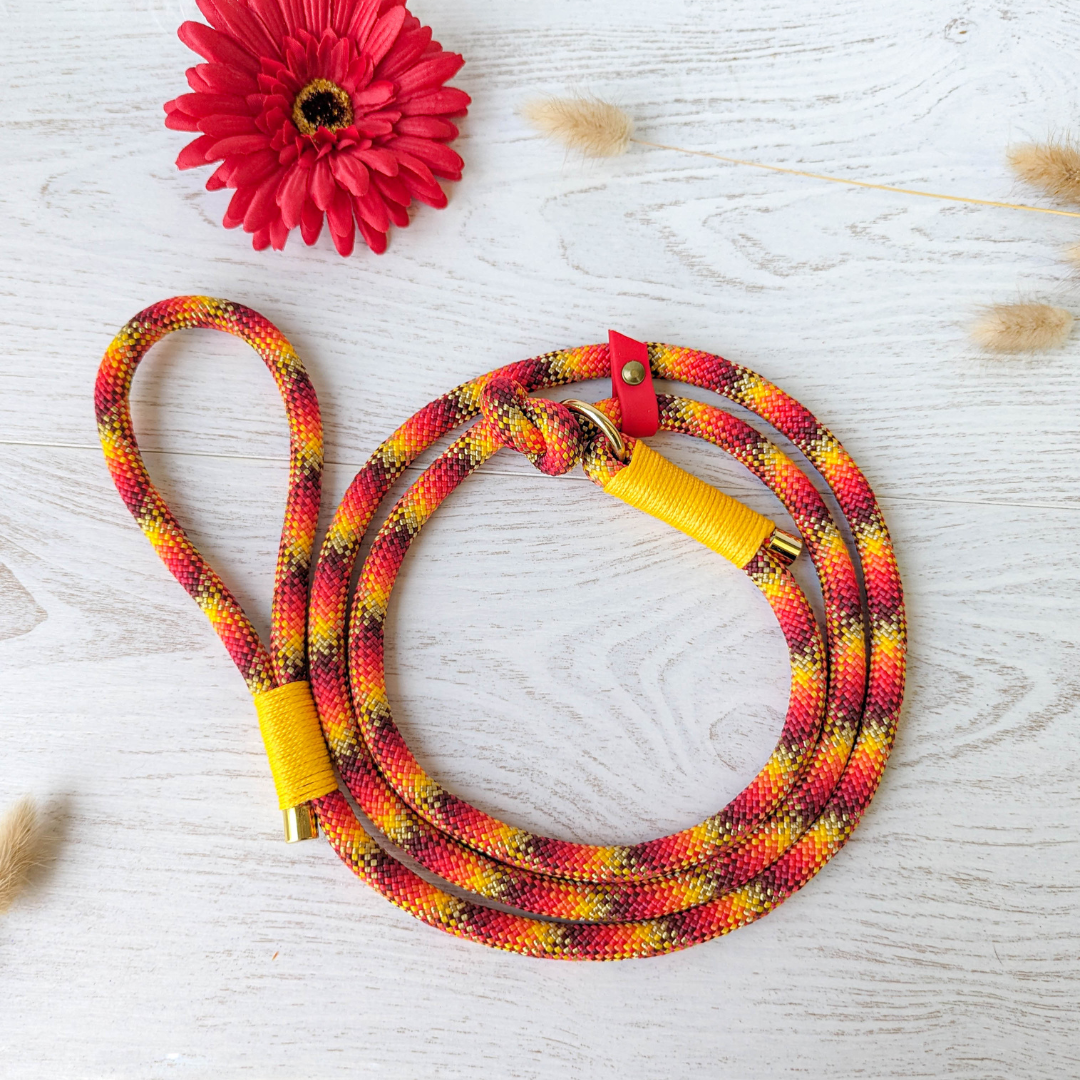 🪢 Laisse NOMADE en corde - système retriever